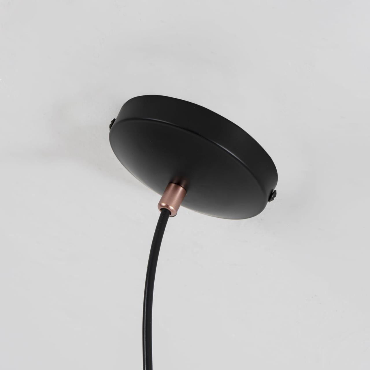 картинка Подвесной светильник Favourite Ampolla 2007-1P магазин pro-decor.kz являющийся официальным дистрибьютором в Казахстане картинка Подвесной светильник Favourite Ampolla 2007-1P от магазина pro-decor.kz