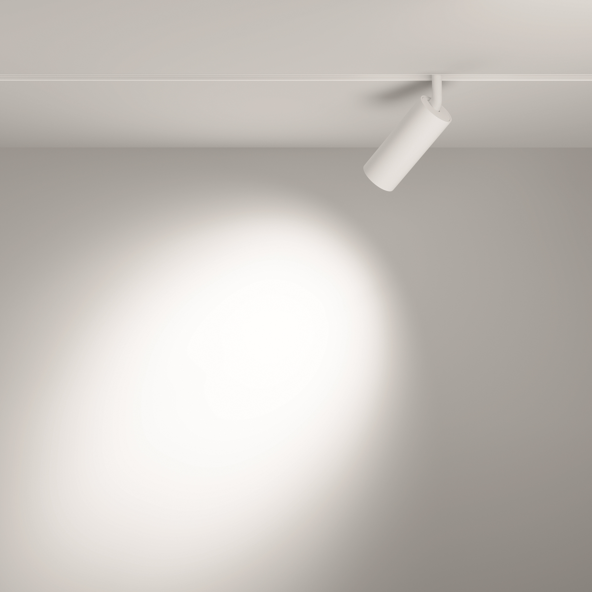 картинка Трековый светильник Technical TR032-2-12W3K-S-W от магазина pro-decor.kz