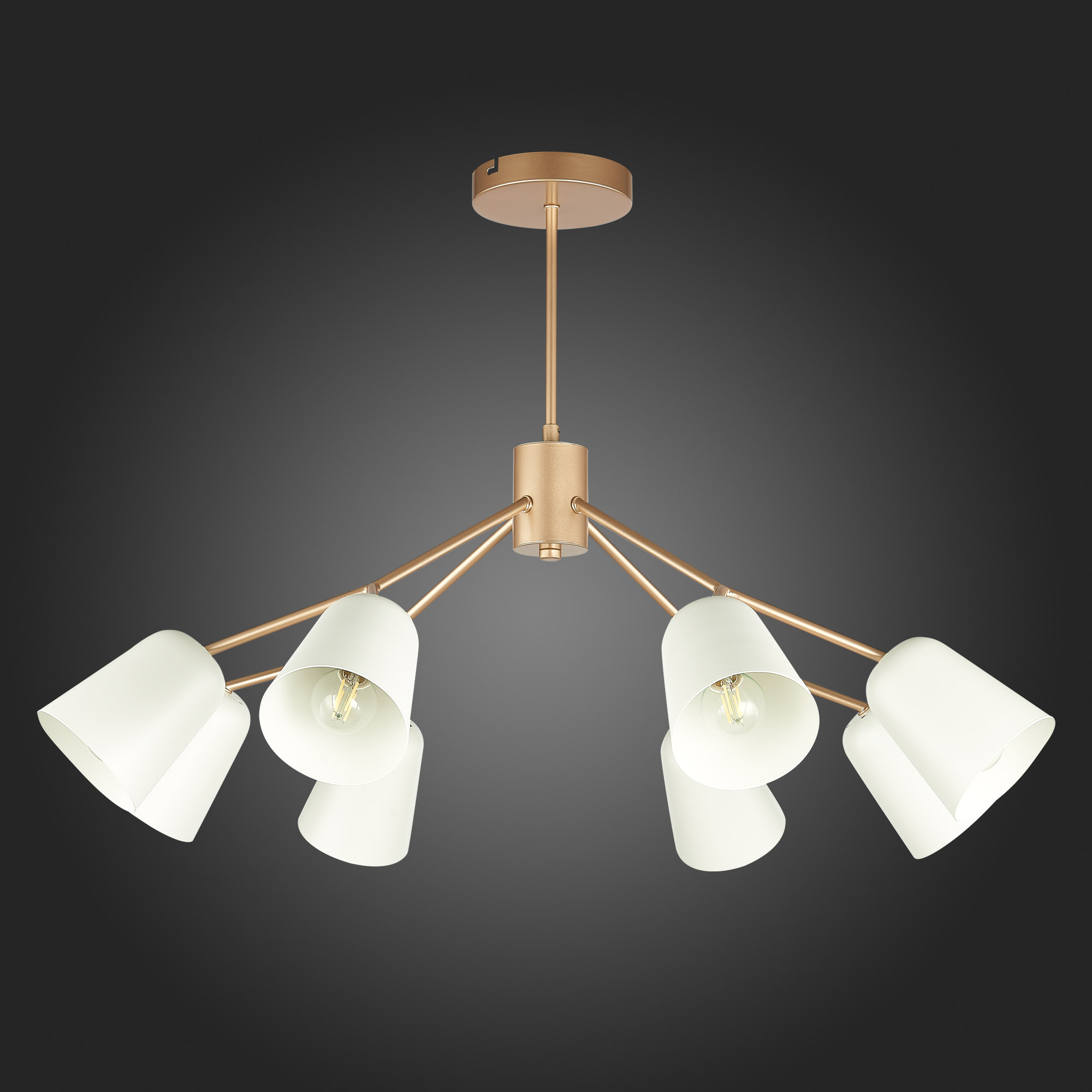 картинка Подвесная люстра Evoluce Mario SLE155902-08 магазин pro-decor.kz являющийся официальным дистрибьютором в Казахстане картинка Подвесная люстра Evoluce Mario SLE155902-08 от магазина pro-decor.kz