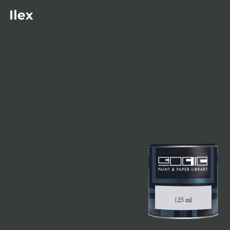 Пробник Paint Library, цвет  ILEX - 558, 125мл