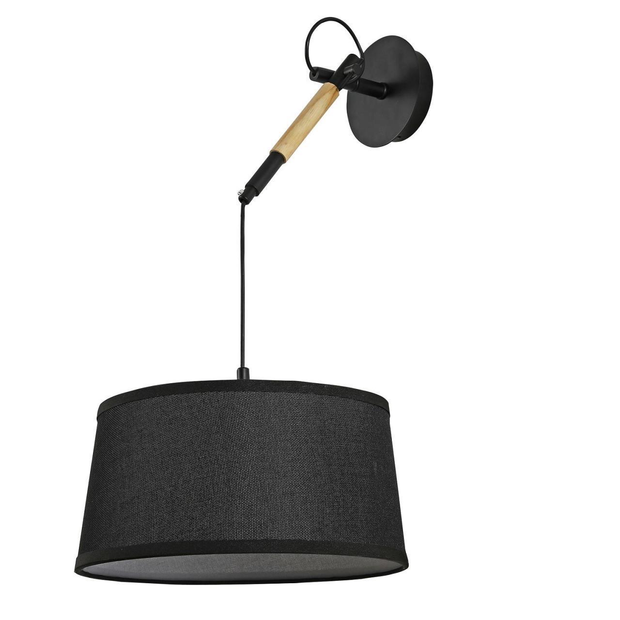 картинка Настенно-потолочный светильник Eureka 3006-1P магазин pro-decor.kz являющийся официальным дистрибьютором в Казахстане картинка Настенно-потолочный светильник Eureka 3006-1P от магазина pro-decor.kz
