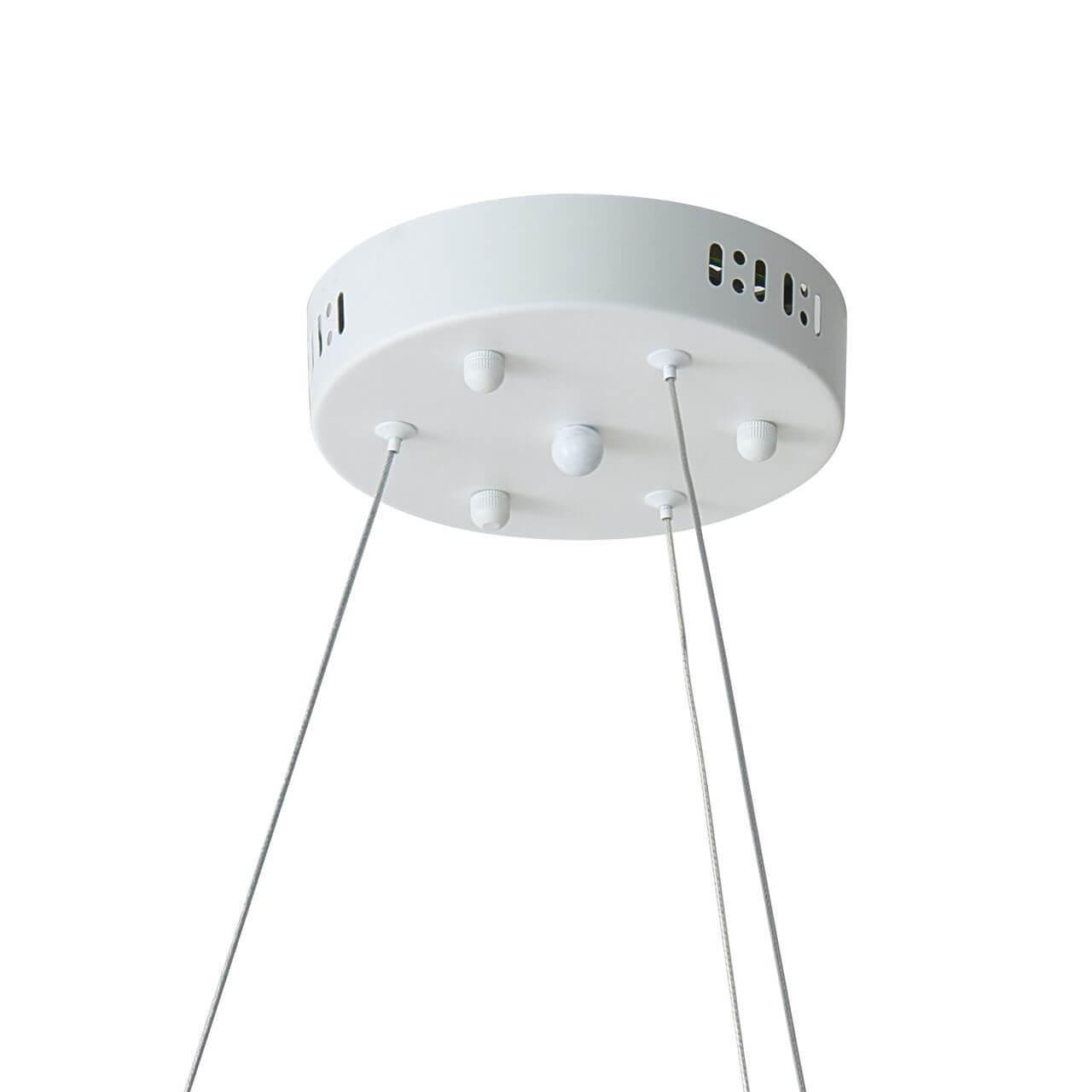 картинка Подвесная люстра Favourite Taddy Bears 2451-6P от магазина pro-decor.kz