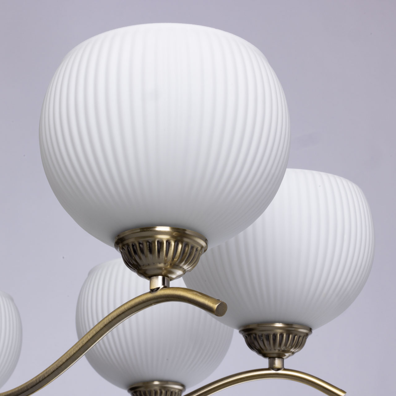 картинка 347019808 MW-light Фелиция Люстра магазин pro-decor.kz являющийся официальным дистрибьютором в Казахстане картинка 347019808 MW-light Фелиция Люстра от магазина pro-decor.kz