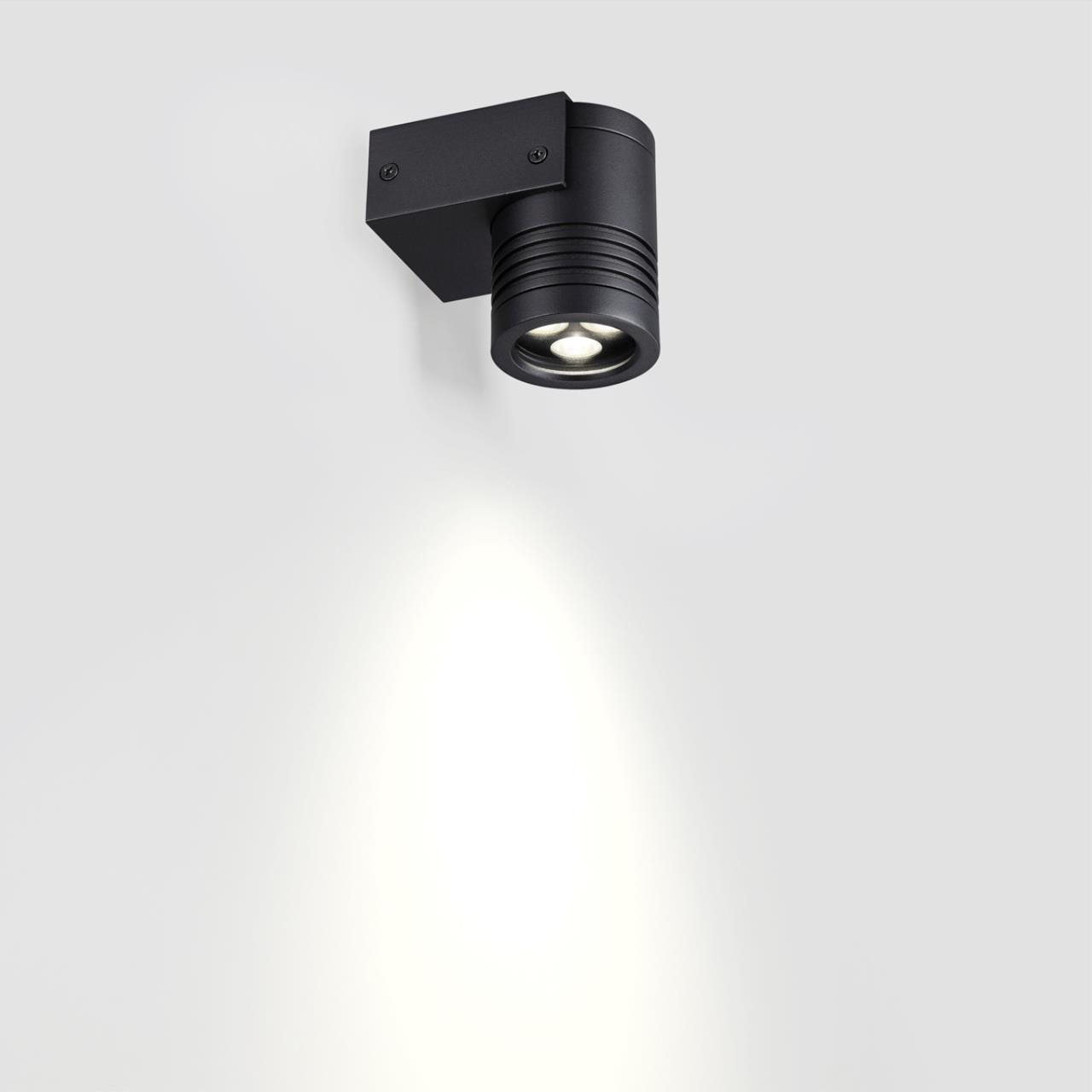 картинка 6648/6WL NATURE Odeon Light Фасадный светильник STIMA магазин pro-decor.kz являющийся официальным дистрибьютором в Казахстане картинка 6648/6WL NATURE Odeon Light Фасадный светильник STIMA от магазина pro-decor.kz