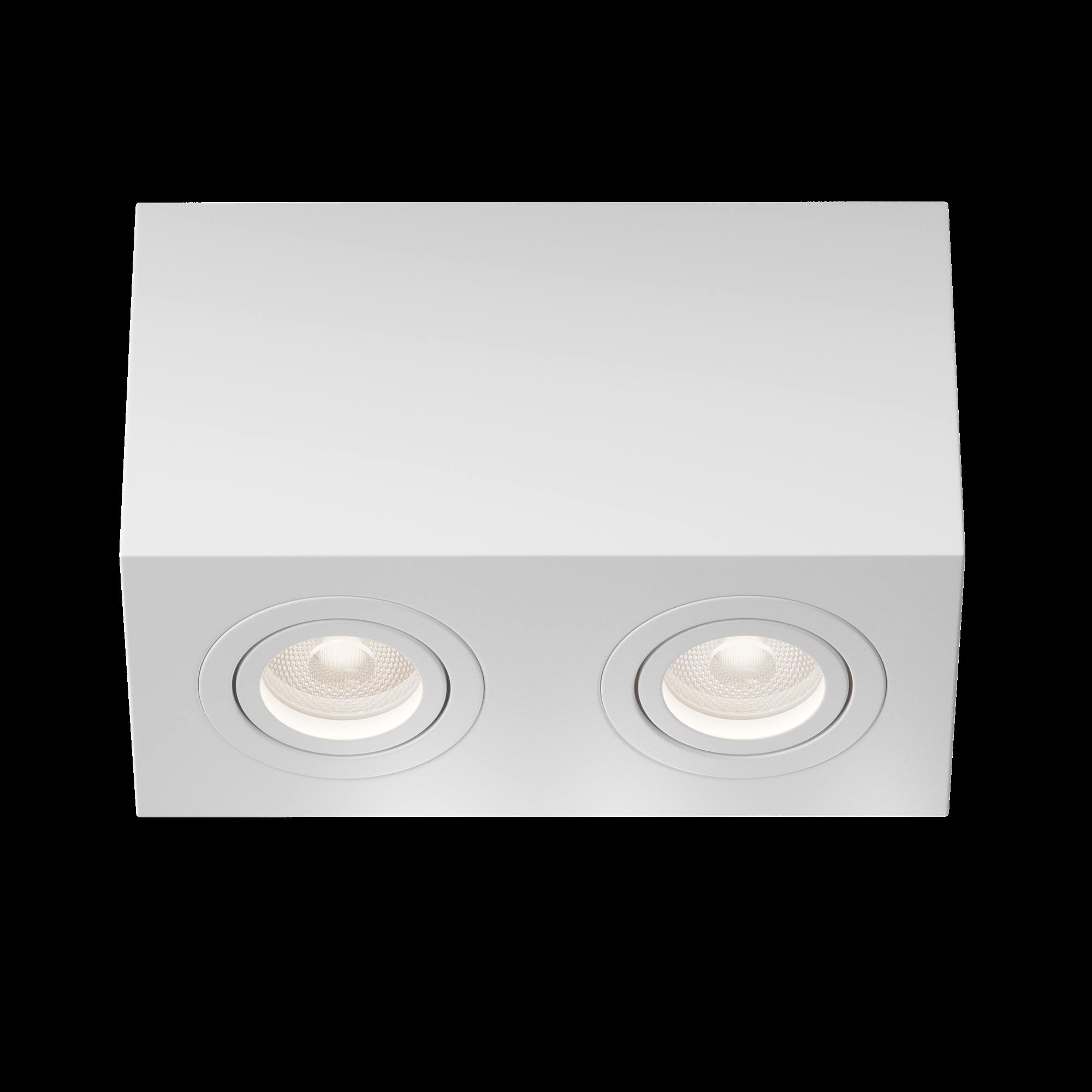 картинка Потолочный светильник Technical C017CL-02W от магазина pro-decor.kz