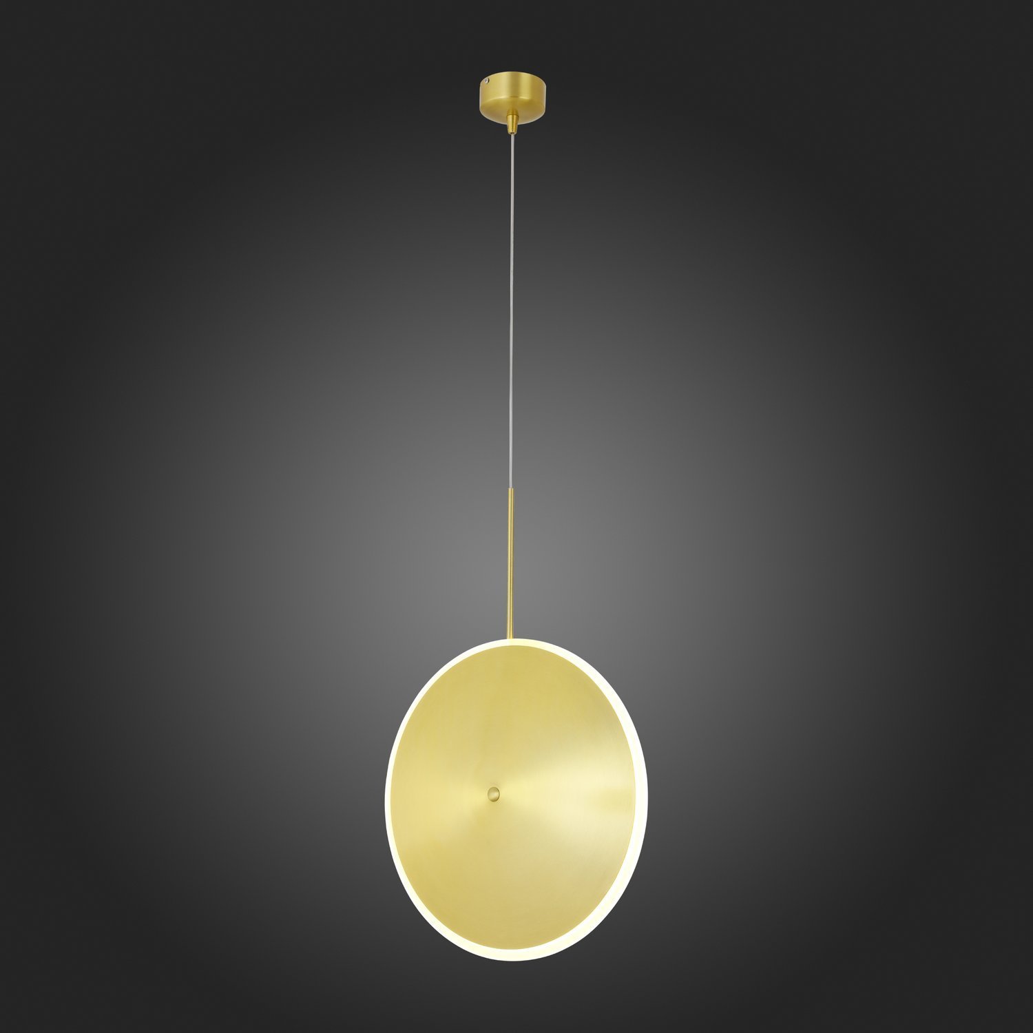 картинка Подвесной светодиодный светильник ST Luce Imente SL1221.213.01 от магазина pro-decor.kz