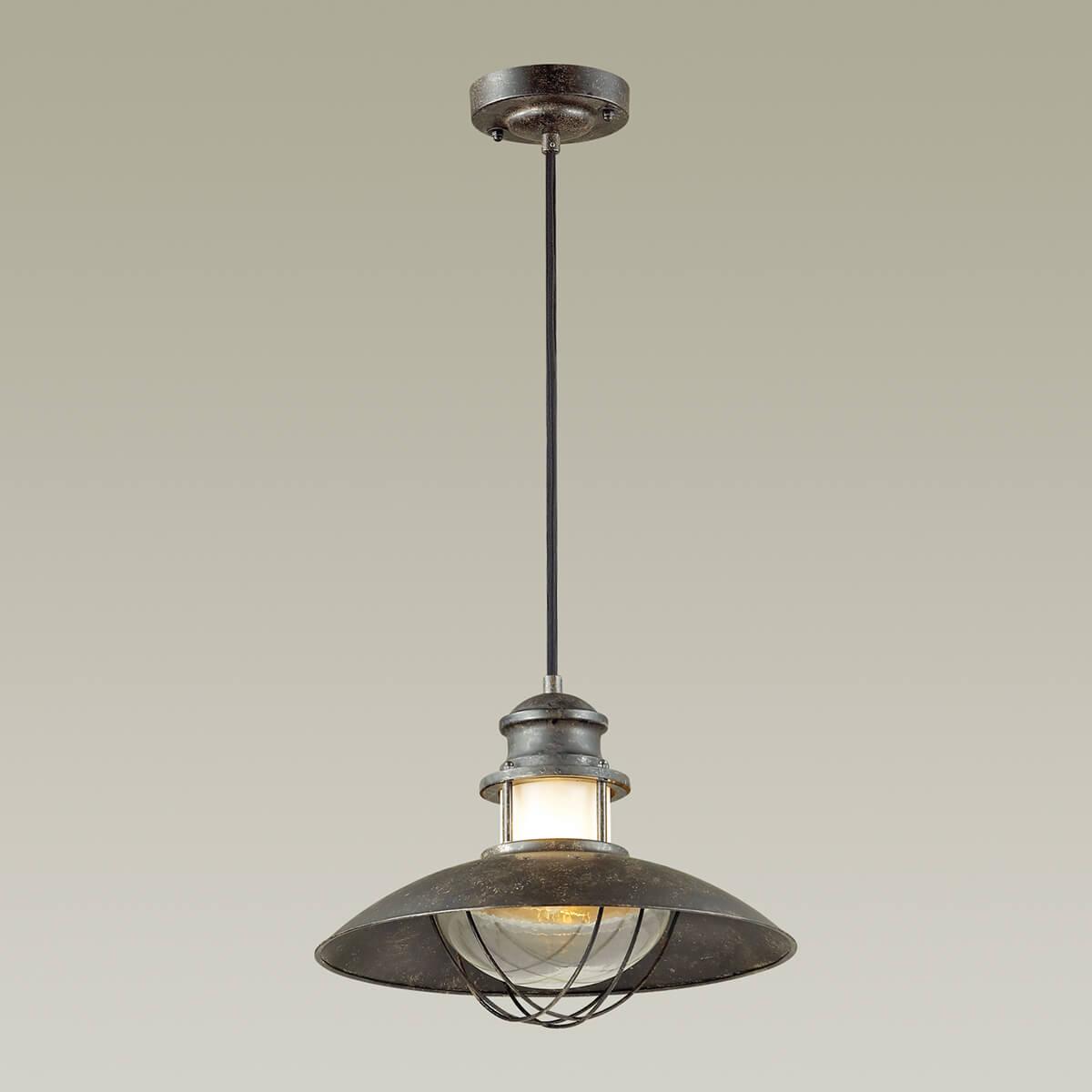 картинка Уличный подвесной светильник Odeon Light Nature Dante 4164/1 от магазина pro-decor.kz