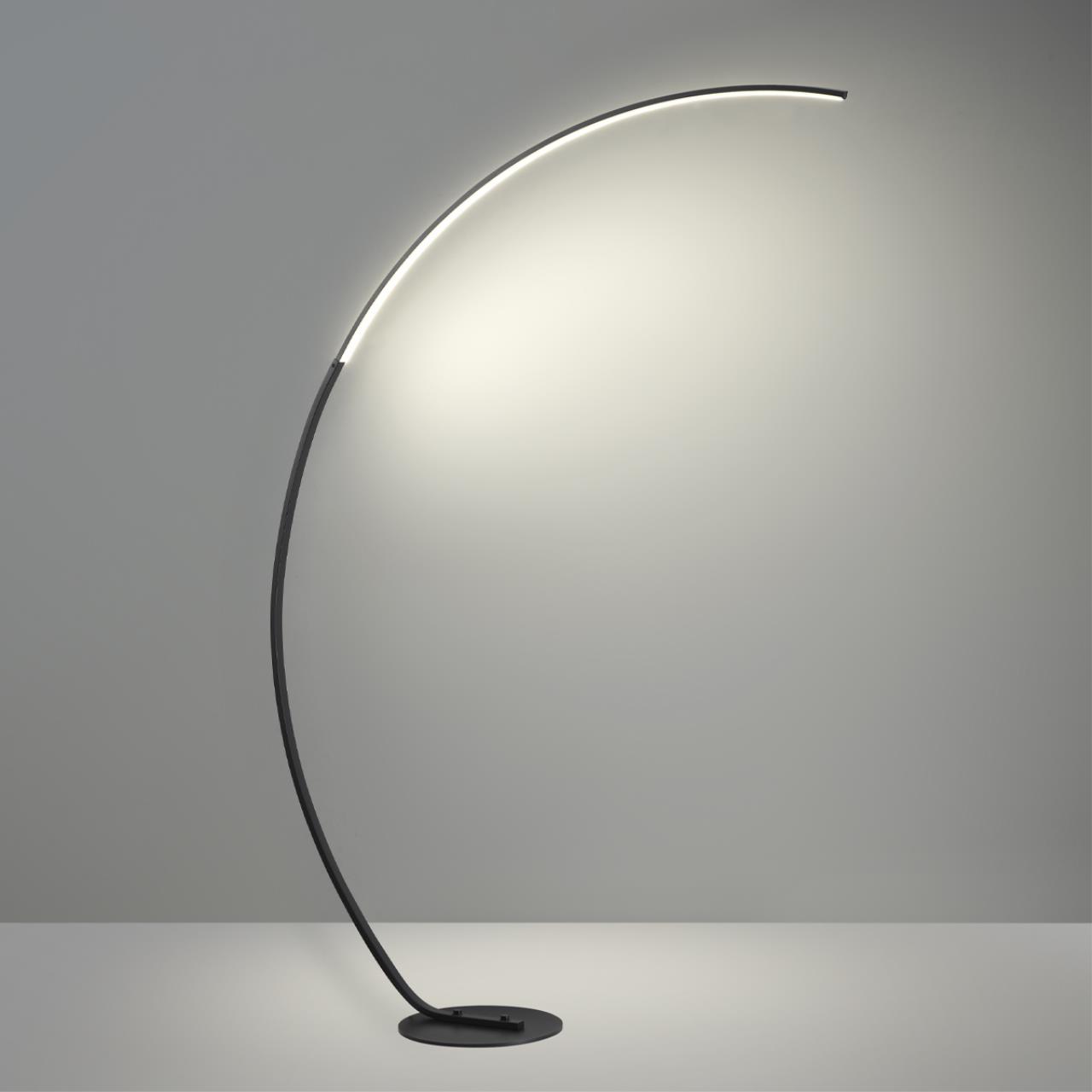 картинка 5676/21FL LEDIO Lumion Торшер с пультом ДУ WES от магазина pro-decor.kz