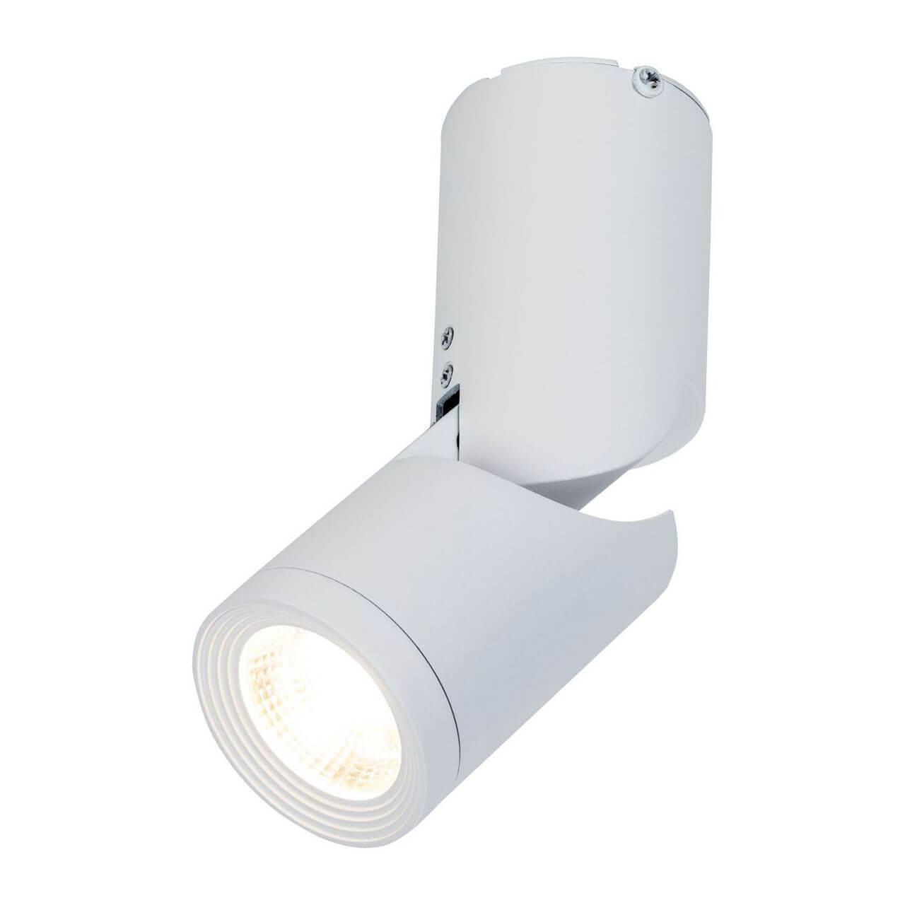 картинка Светодиодный спот Maytoni Tube C019CW-01W от магазина pro-decor.kz