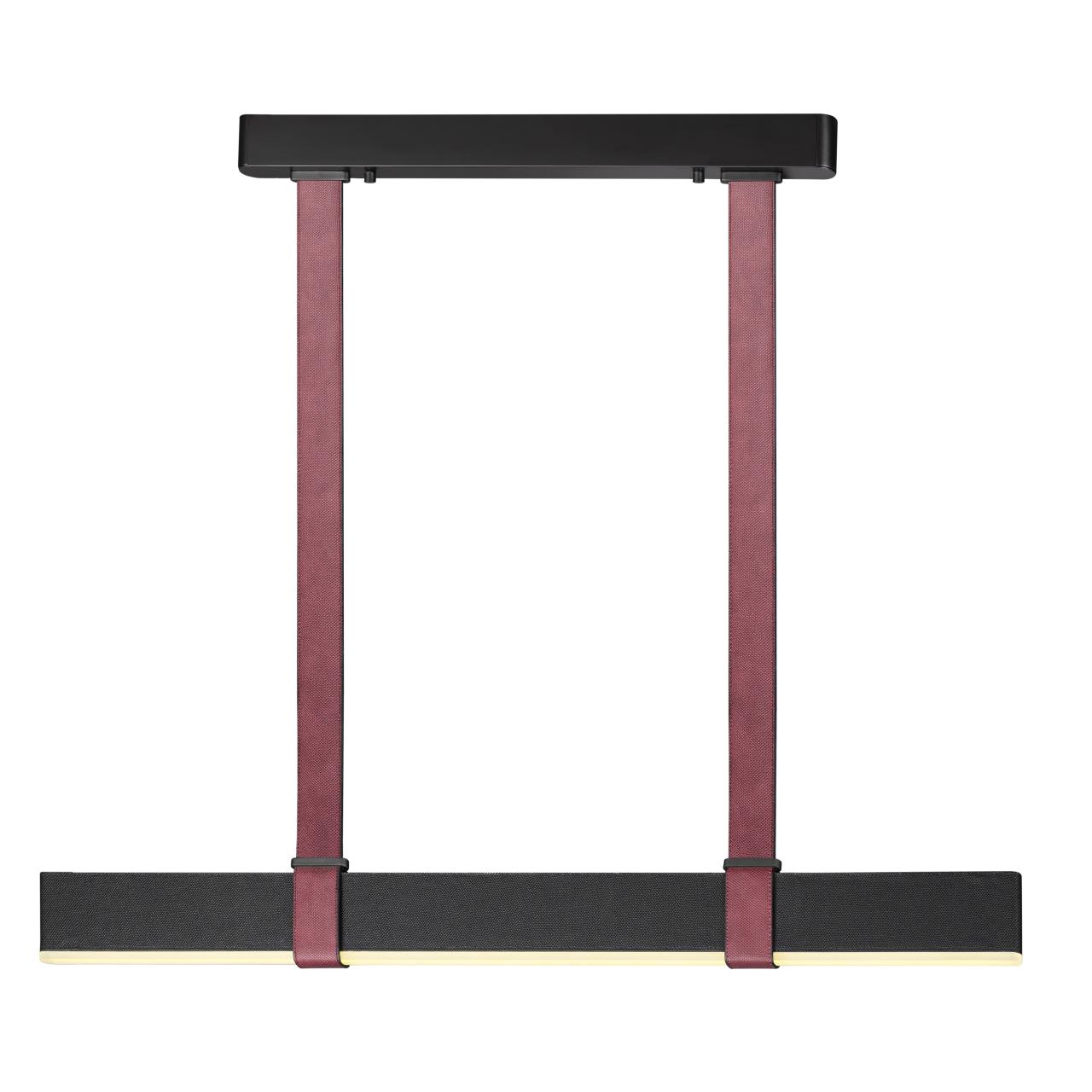 картинка 6629/25L Odeon Light HIGHTECH Подвесной светильник  от магазина pro-decor.kz