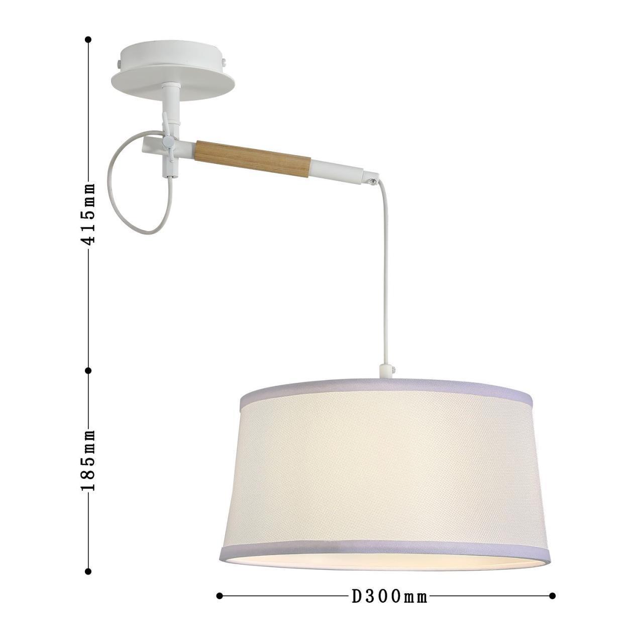 картинка Настенно-потолочный светильник Eureka 3005-1P магазин pro-decor.kz являющийся официальным дистрибьютором в Казахстане картинка Настенно-потолочный светильник Eureka 3005-1P от магазина pro-decor.kz