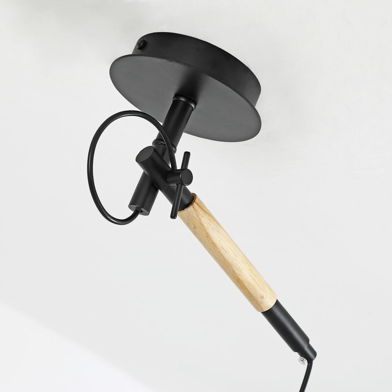 картинка Настенно-потолочный светильник Eureka 3006-1P магазин pro-decor.kz являющийся официальным дистрибьютором в Казахстане картинка Настенно-потолочный светильник Eureka 3006-1P от магазина pro-decor.kz