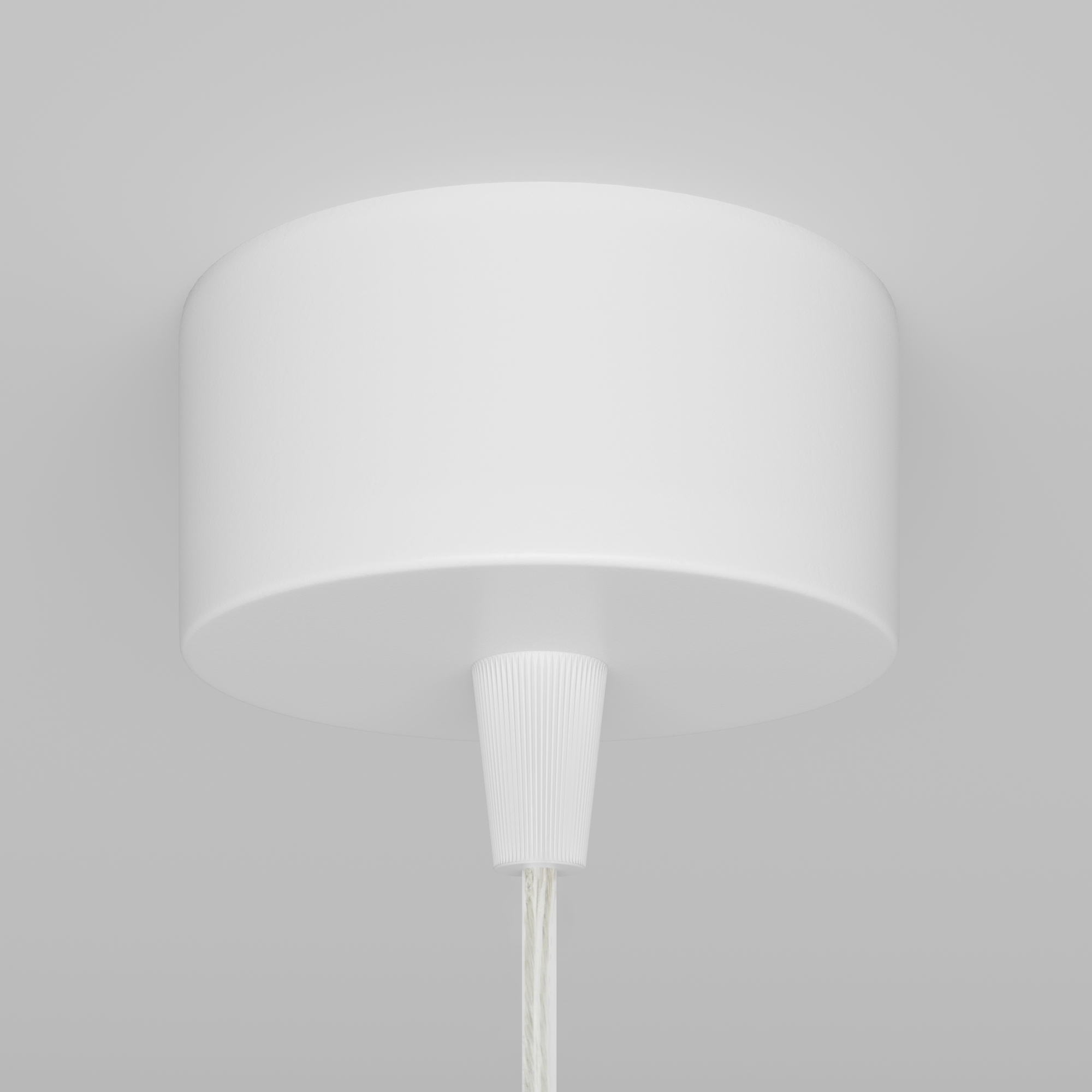 картинка Подвесной светильник Technical P075PL-01W от магазина pro-decor.kz