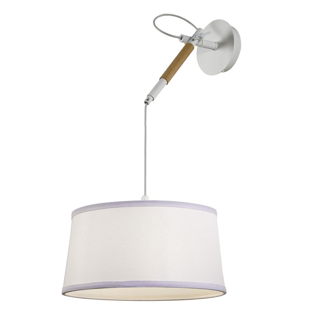картинка Настенно-потолочный светильник Eureka 3005-1P магазин pro-decor.kz являющийся официальным дистрибьютором в Казахстане картинка Настенно-потолочный светильник Eureka 3005-1P от магазина pro-decor.kz