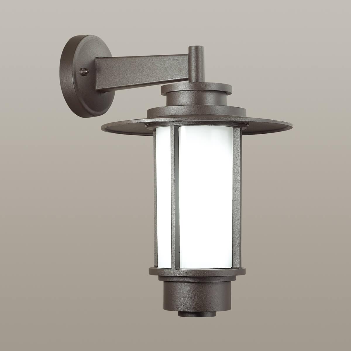 картинка Уличный настенный светильник Odeon Light Nature Mito 4047/1W от магазина pro-decor.kz