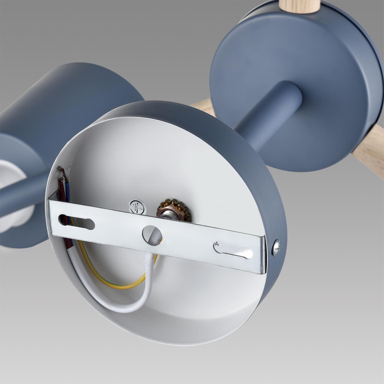 картинка 8098/6C Lumion Люстра подвесная ROSALINA от магазина pro-decor.kz