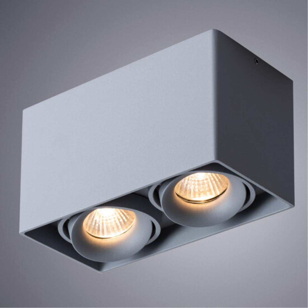 картинка Потолочный светильник Arte Lamp Pictor A5654PL-2GY магазин pro-decor.kz являющийся официальным дистрибьютором в Казахстане картинка Потолочный светильник Arte Lamp Pictor A5654PL-2GY от магазина pro-decor.kz