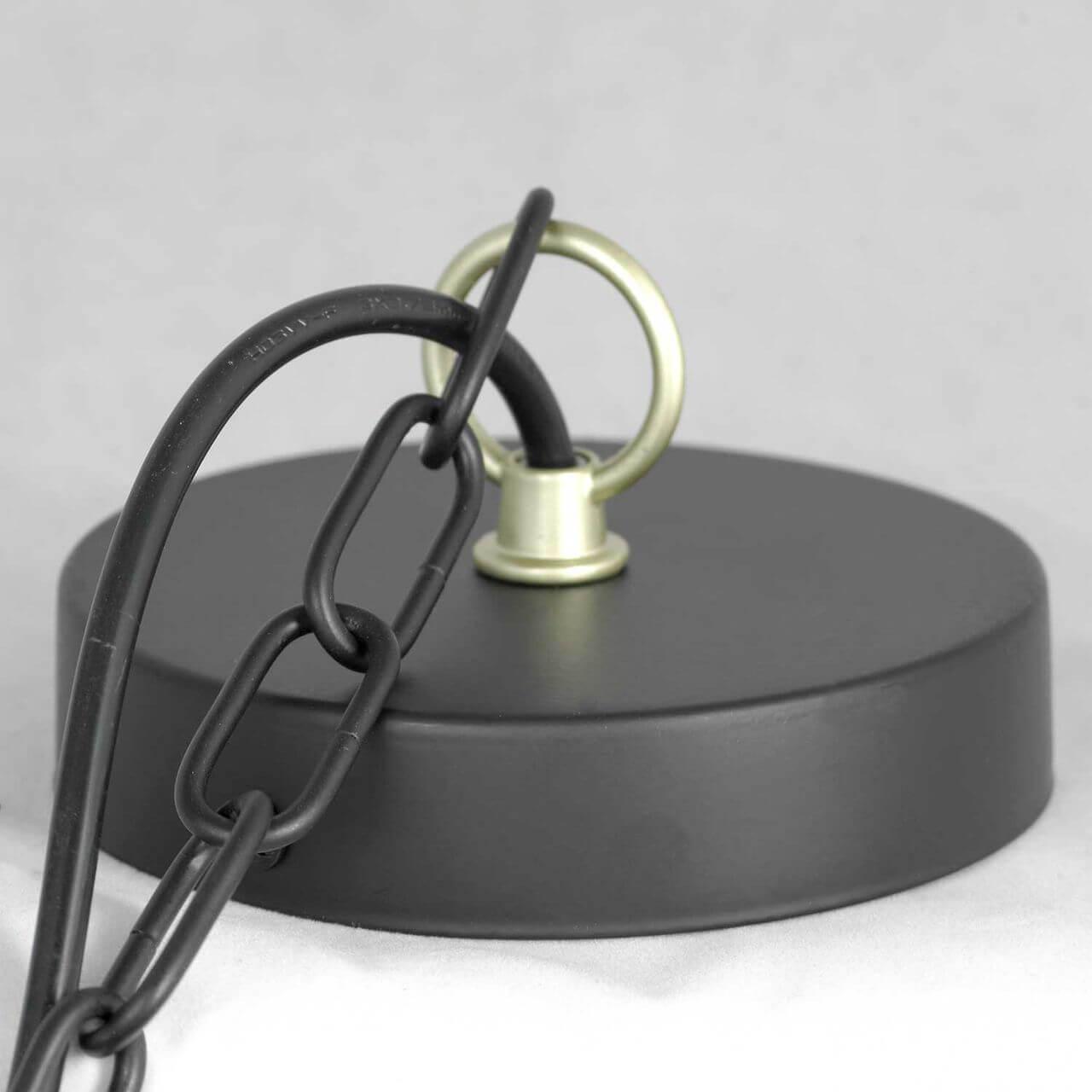 картинка Подвесная люстра Lussole Lgo Roosevelt GRLSP-8198 от магазина pro-decor.kz