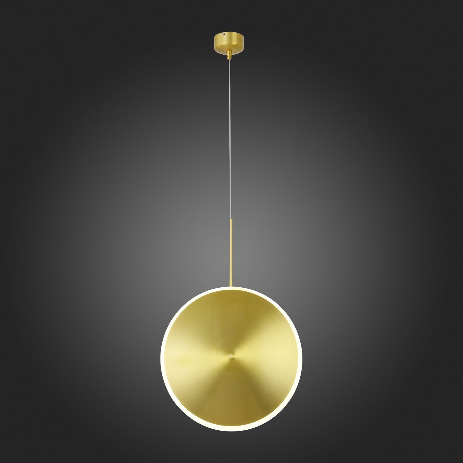 картинка Подвесной светодиодный светильник ST Luce Imente SL1221.213.01 от магазина pro-decor.kz