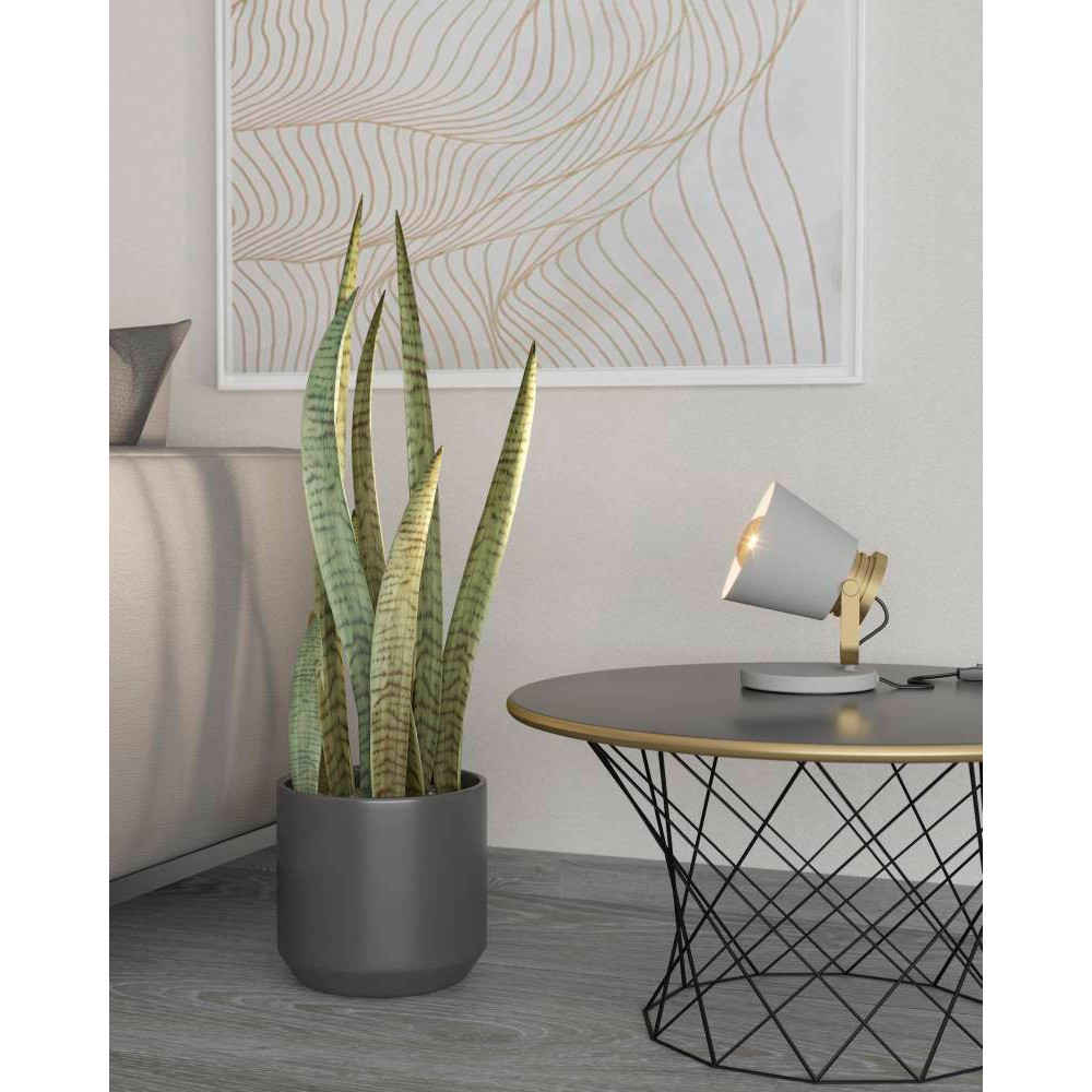 картинка 43841 Настольная лампа TWICKEN от магазина pro-decor.kz