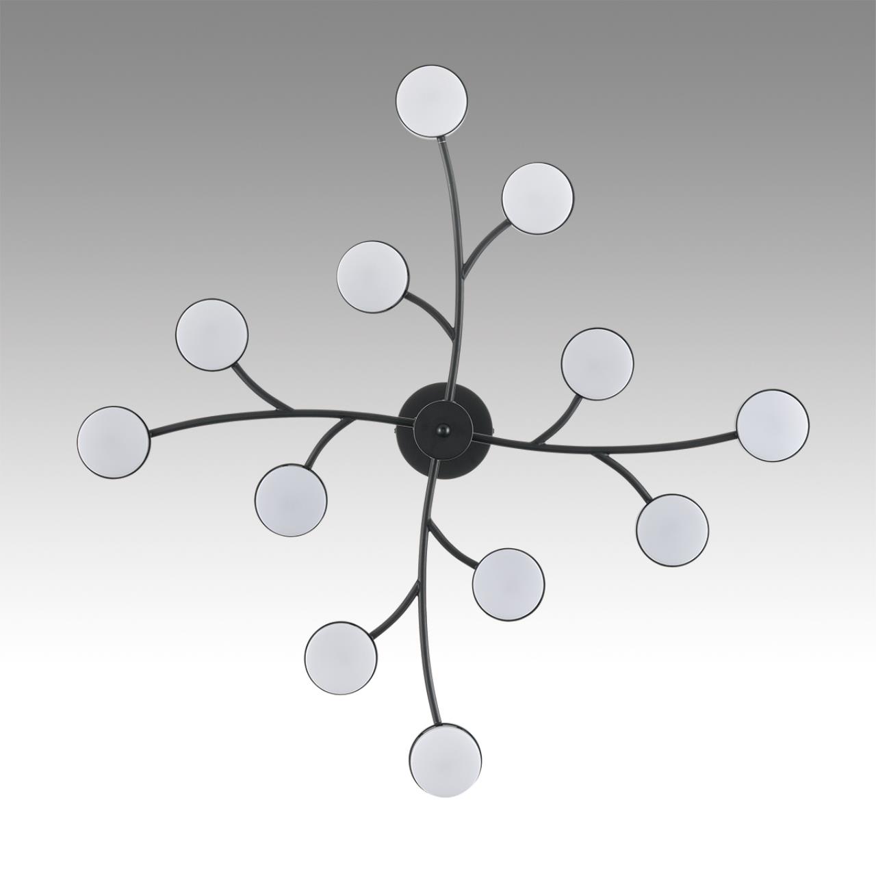 картинка 8117/12 Lumion Люстра TORINA магазин pro-decor.kz являющийся официальным дистрибьютором в Казахстане картинка 8117/12 Lumion Люстра TORINA от магазина pro-decor.kz