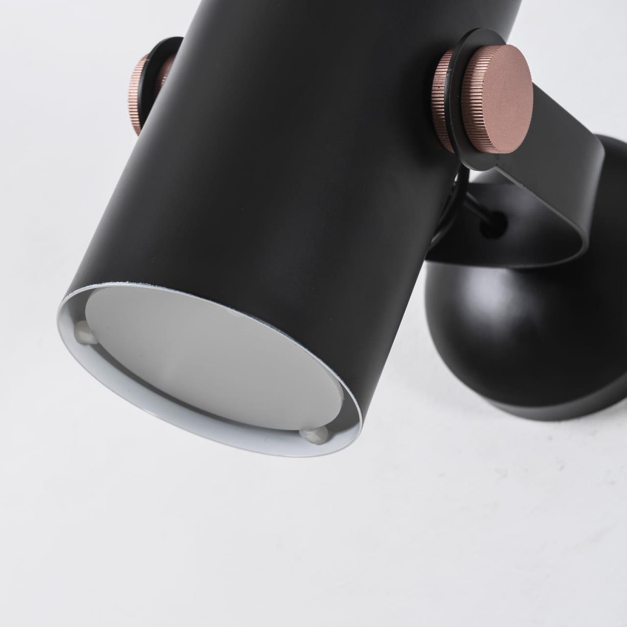 картинка Спот Favourite Ampolla 2007-1W от магазина pro-decor.kz