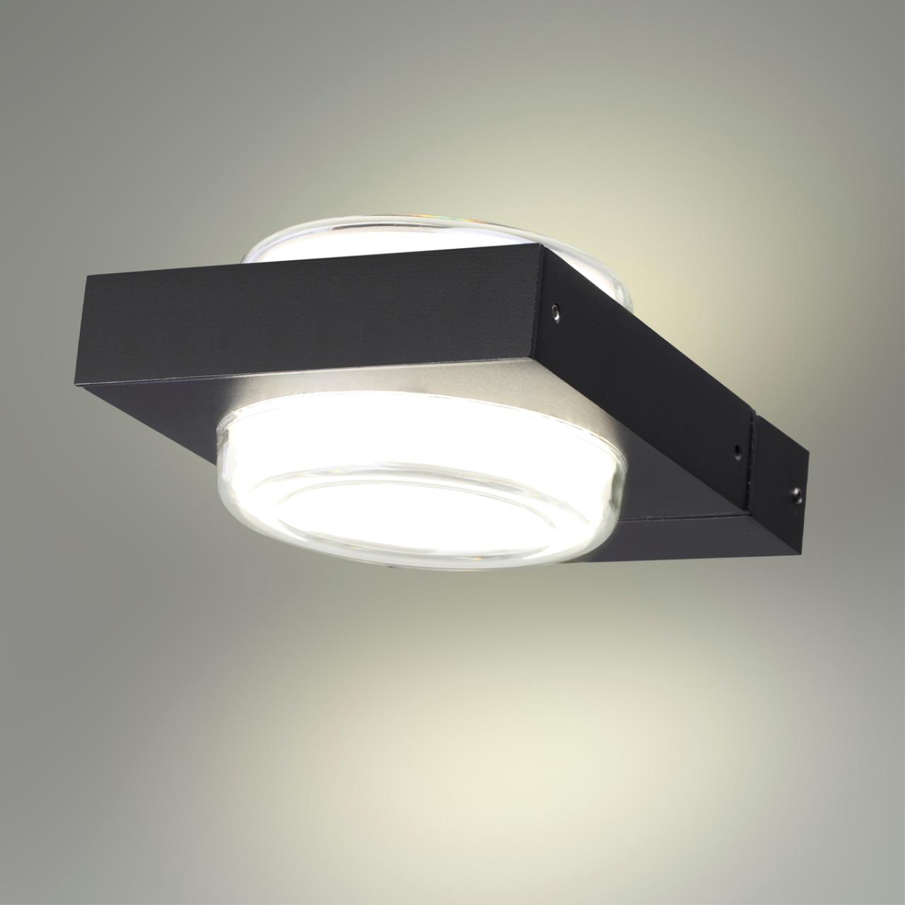 картинка 6654/6WL NATURE Odeon Light Уличный  настенный светильник  от магазина pro-decor.kz